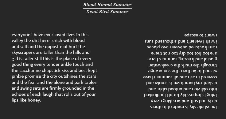 Blood Hound Summer